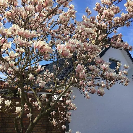 Semesterbostad Ferienhaus Stralsundia