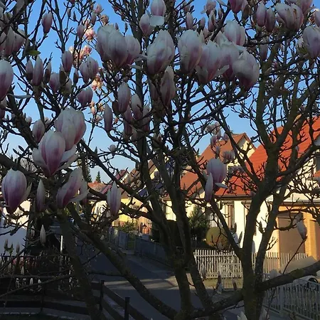 Ferienhaus Stralsundia * Stralsund